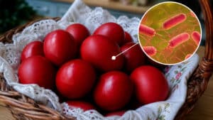 Έχετε ακόμη βαμμένα αυγά; Δείτε γιατί ήρθε η ώρα να τα πετάξετε