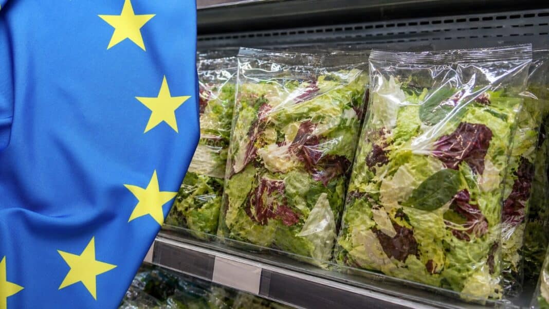 Δεκάδες κρούσματα σαλμονέλας στην Ευρώπη από σαλάτα - Η νέα ανακοίνωση του ECDC