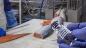Λιστέρια στις βιομηχανίες τροφίμων - Νέα θεωρία εξηγεί γιατί επιμένει παρά τους σχολαστικούς καθαρισμούς