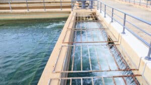 Γλυφοσάτη στα νερά της Ιταλίας: Τι καταγράφει η νέα έκθεση του ISPRA