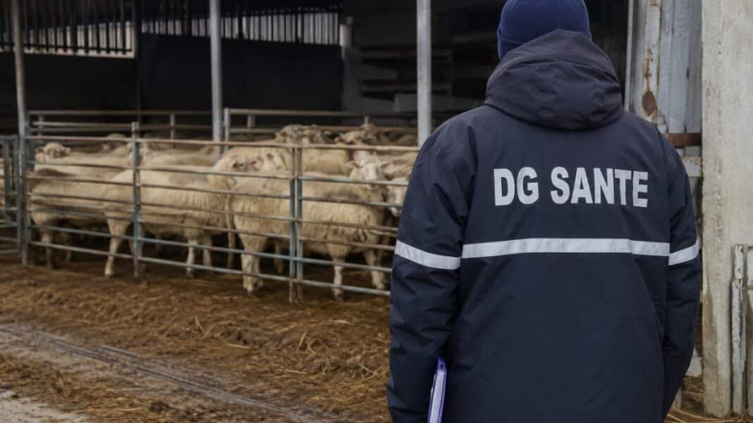 Καταπέλτης για την Ελλάδα η έκθεση της ΕΕ για τη διαχείριση ευλογιάς και πανώλης στην κτηνοτροφία
