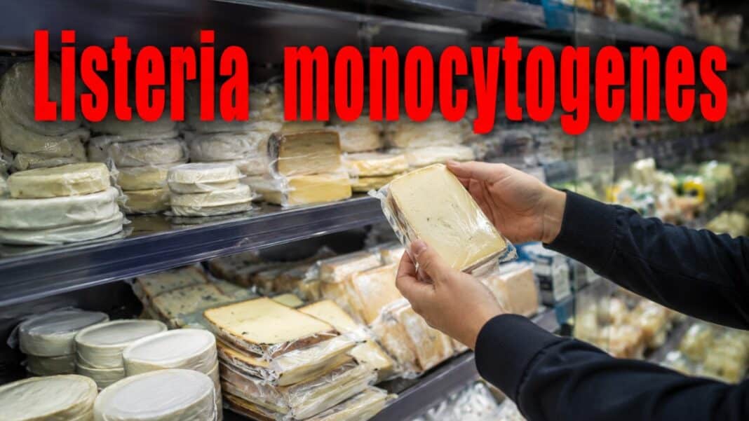 Μαζικές ανακλήσεις τυριών από σούπερ μάρκετ και καταστήματα τροφίμων λόγω σοβαρού βιολογικού κινδύνου με ακραία μικροβιακά φορτία