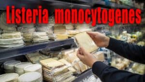 Μαζικές ανακλήσεις τυριών από σούπερ μάρκετ και καταστήματα τροφίμων λόγω σοβαρού βιολογικού κινδύνου με ακραία μικροβιακά φορτία