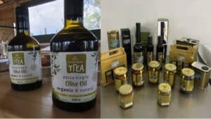 Από τα βιολογικά αυγά στα premium ελαιόλαδα: Δύο κυπριακές φάρμες δείχνουν πώς αλλάζει η γεωργία στην εποχή της κλιματικής κρίσης