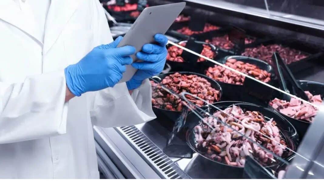 Απειλεί η τεχνητή νοημοσύνη τη δουλειά των Ελλήνων επιθεωρητών τροφίμων; Τι έδειξε έρευνα με 122 συμμετέχοντες