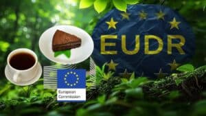 EUDR: Νέα έκθεση της ΕΕ για την απλούστευση του κανονισμού για την αποψίλωση των δασών