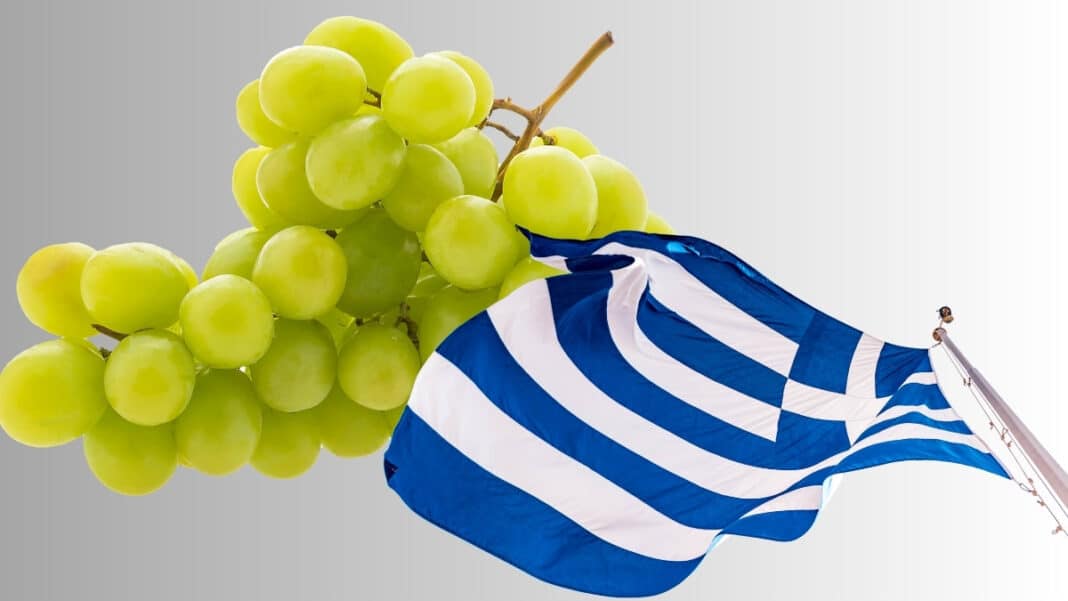 Το μοναδικό ελληνικό σταφύλι που δεν καλλιεργείται πουθενά αλλού στον κόσμο