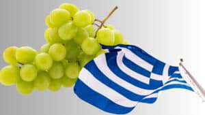 Το μοναδικό ελληνικό σταφύλι που δεν καλλιεργείται πουθενά αλλού στον κόσμο