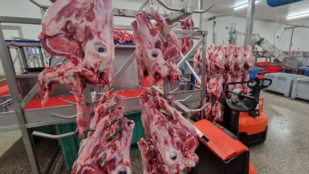 FAO: Η παγκόσμια παραγωγή κρέατος τετραπλασιάστηκε σε έξι δεκαετίες - Αλλά εκατομμύρια άνθρωποι εξακολουθούν να μην έχουν αρκετό