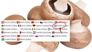 Συναγερμός στην Ευρώπη και την Ελλάδα για μανιτάρια με Λιστέρια - Σύσταση για αποφυγή κατανάλωσης