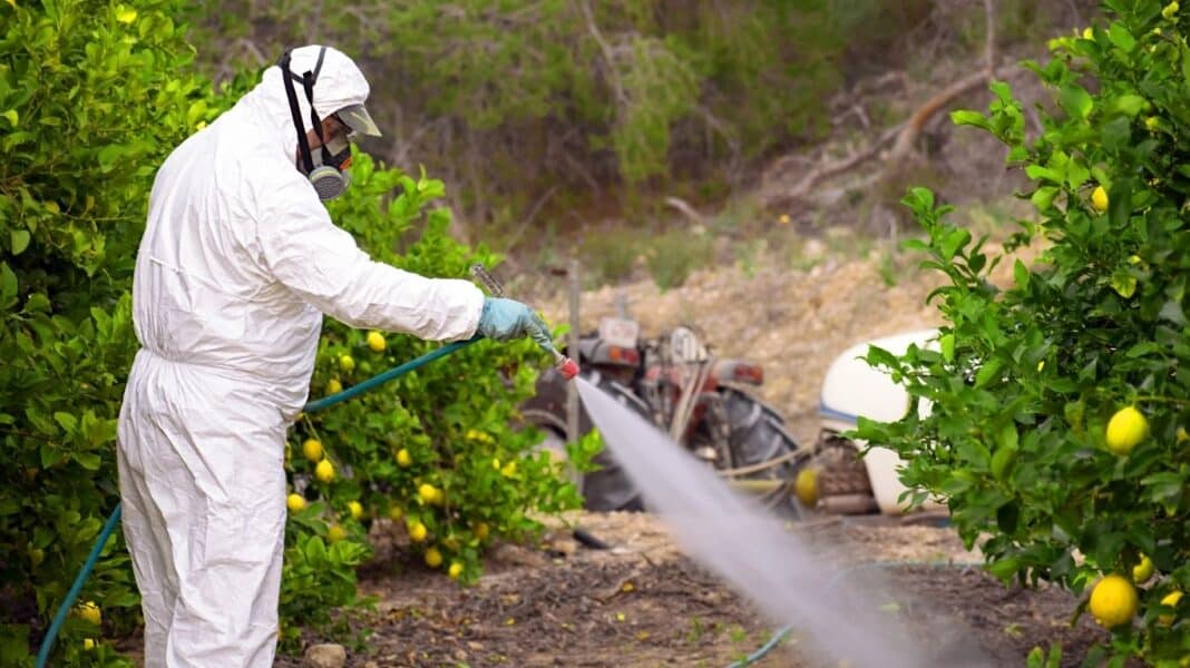Φυτοφάρμακα: Η EFSA εξετάζει τη νέα δραστική ουσία fluazaindolizine για χρήση σε αγγούρια, κολοκυθάκια και καρότα