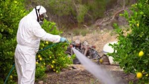Φυτοφάρμακα: Η EFSA εξετάζει τη νέα δραστική ουσία fluazaindolizine για χρήση σε αγγούρια, κολοκυθάκια και καρότα