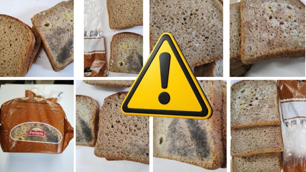 Εκτεταμένη μούχλα σε ψωμί σίκαλης μεγάλης αρτοβιομηχανίας - Οι Αρχές έδωσαν στη δημοσιότητα αποκρουστικές φωτογραφίες