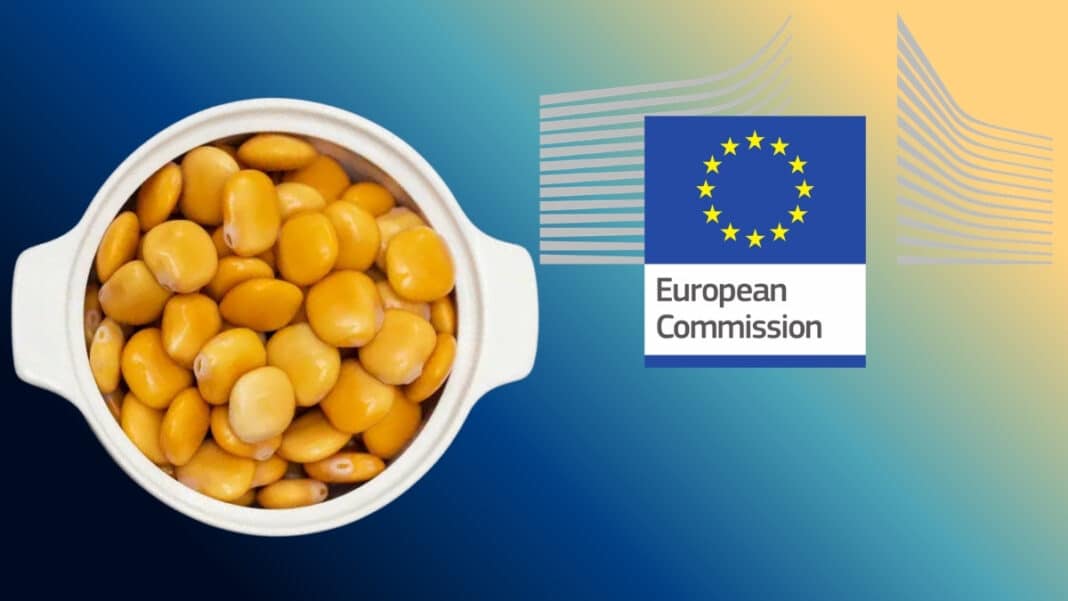Λούπινο: Η ΕΕ ζητά εντατική παρακολούθηση μετά τα περιστατικά οξείας δηλητηρίασης