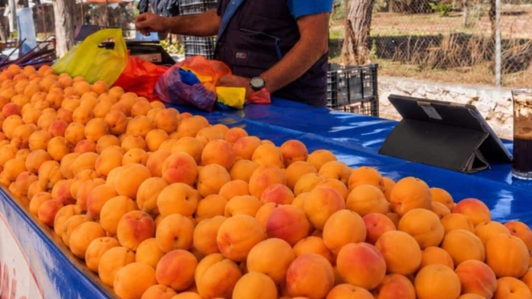Γέμισαν λαϊκές και σούπερ μάρκετ με βερίκοκα: Τι αποκαλύπτουν οι μελέτες για ένα από τα πιο δημοφιλή φρούτα του καλοκαιριού