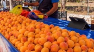 Γέμισαν λαϊκές και σούπερ μάρκετ με βερίκοκα: Τι αποκαλύπτουν οι μελέτες για ένα από τα πιο δημοφιλή φρούτα του καλοκαιριού