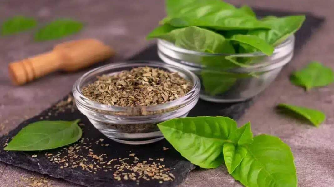 Ανάκληση αποξηραμένου βασιλικού μεγάλου σουπερμάρκετ λόγω σαλμονέλας