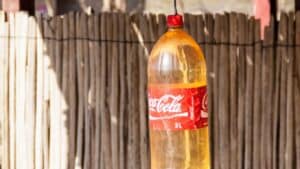 Coca-Cola: Καταγγελίες κατά της εταιρείας για άντληση νερού από περιοχές με λειψυδρία