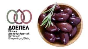 Πίεση στον κλάδο της επιτραπέζιας ελιάς από τις εκκρεμείς πληρωμές των ΟΕΦ και τα προβλήματα στο Ελαιοκομικό Μητρώο