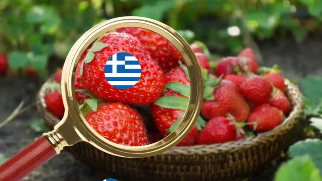 Ελληνικές φράουλες σε ευρωπαϊκή αναφορά για μη εγκεκριμένο φυτοφάρμακο