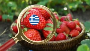 Ελληνικές φράουλες σε ευρωπαϊκή αναφορά για μη εγκεκριμένο φυτοφάρμακο