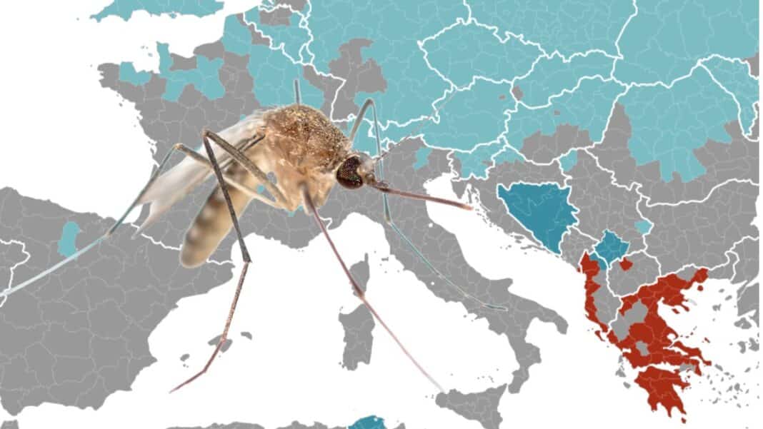 Στην Ελλάδα οι 27 από τις 29 νέες καταγραφές του κουνουπιού της Ιαπωνικής εγκεφαλίτιδας - Το κοινό ανακοινωθέν ECDC και EFSA