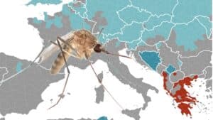 Στην Ελλάδα οι 27 από τις 29 νέες καταγραφές του κουνουπιού της Ιαπωνικής εγκεφαλίτιδας - Το κοινό ανακοινωθέν ECDC και EFSA