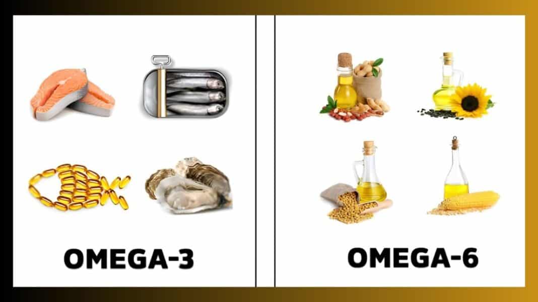 Ωμέγα-3 και Ωμέγα-6: Ποιες είναι οι διαφορές και γιατί η ισορροπία τους είναι σημαντική για την υγεία