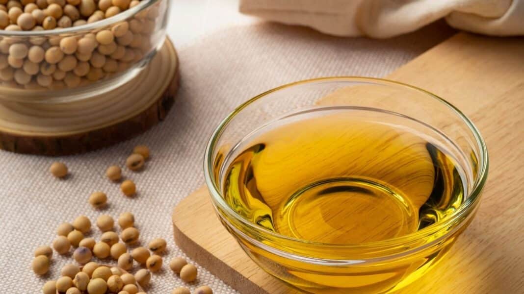 Πώς το φοινικέλαιο και το σογιέλαιο επιταχύνουν την παγκόσμια απώλεια βιοποικιλότητας