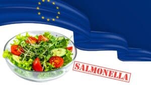 Συσκευασμένη σαλάτα πίσω από επιδημία σαλμονέλας στην Ευρώπη με 2 νεκρούς και 109 κρούσματα - Ανακοίνωση ECDC