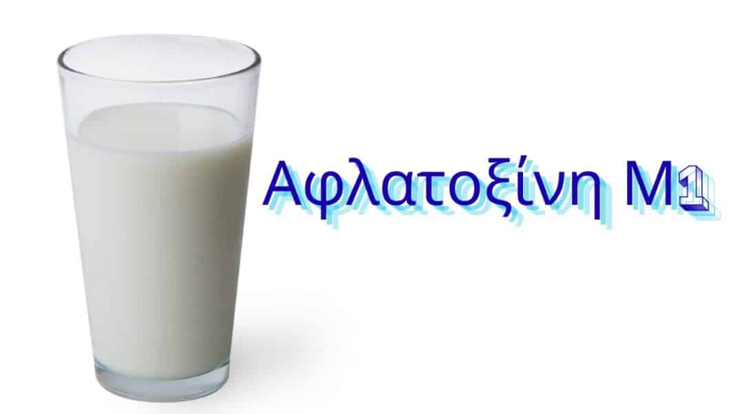 Καρκινογόνος τοξίνη εντοπίστηκε σε σχεδόν 1 στα 4 δείγματα αγελαδινού γάλακτος στην Κύπρο – Μελέτη του Πανεπιστημίου Ιωαννίνων