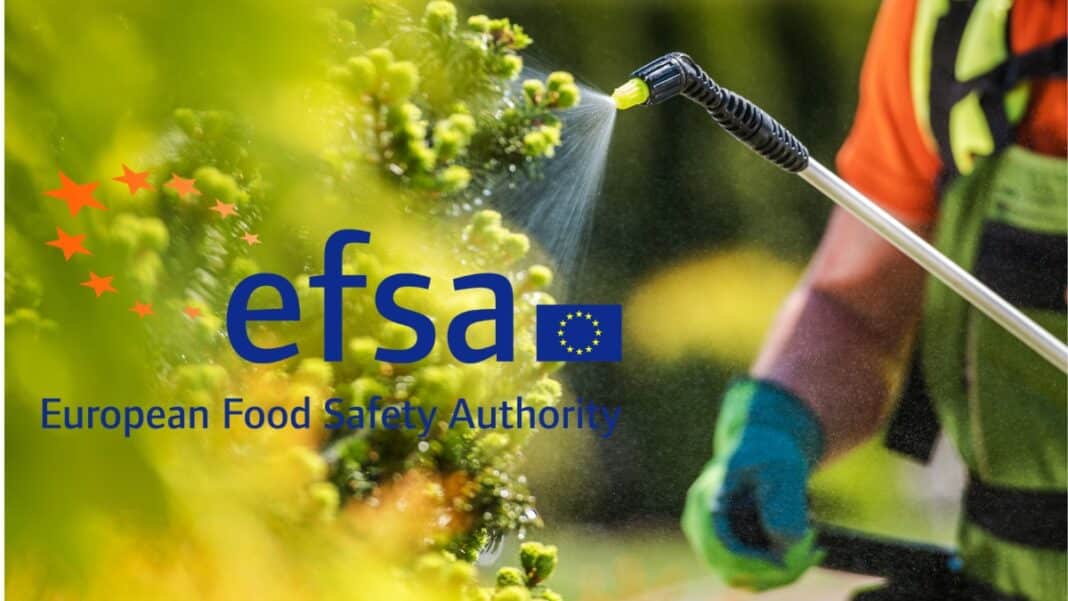 Νέα γνωμοδότηση της EFSA για το φυτοφάρμακο bifenazate: Δεν πληροί τα κριτήρια ενδοκρινικού διαταράκτη