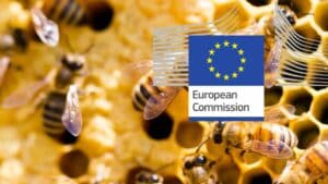 Η ΕΕ εγκρίνει την πρώτη πρόσθετη ύλη ζωοτροφών για μέλισσες – Τι προβλέπει η απόφαση και τι έδειξε η αξιολόγηση της EFSA