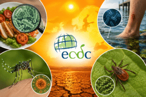 Συναγερμός από το ECDC: Οι παρατεταμένοι καύσωνες φέρνουν νέα νοσήματα στην Ευρώπη – Τα 4 πράγματα που πρέπει να προσέξετε