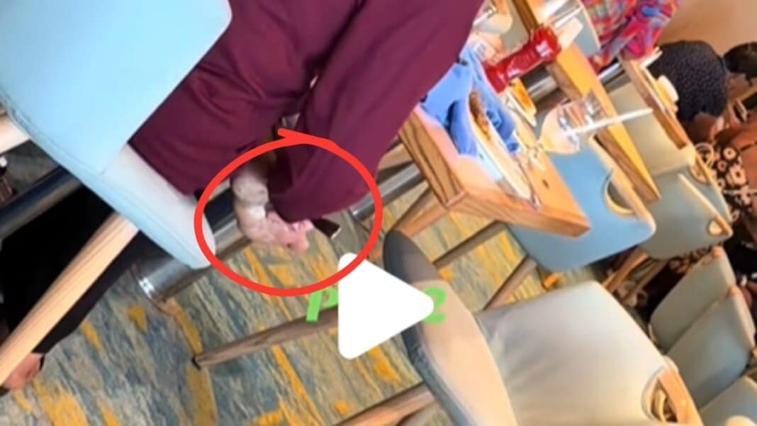 Viral βίντεο-αηδία από επιβάτιδα πλοίου που έξυνε την πατούσα της με πιρούνι της τραπεζαρίας - Η απάντηση της εταιρείας