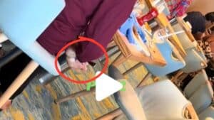 Viral βίντεο-αηδία από επιβάτιδα πλοίου που έξυνε την πατούσα της με πιρούνι της τραπεζαρίας - Η απάντηση της εταιρείας