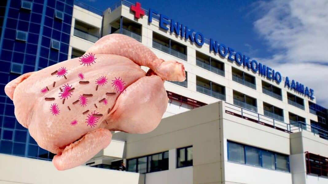 Κρούσματα σαλμονέλας στη Λαμία: Κοτόπουλο σε εστιατόρια ο «ένοχος» - Εντοπίστηκε ο προμηθευτής