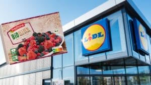 Lidl At: Επείγουσα ανάκληση κατεψυγμένων μούρων λόγω νοροϊού - Ευρήματα μελέτης για μολυσμένες φράουλες στην ελληνική αγορά