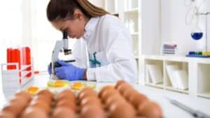 Πυρετός και διάρροια από μολυσμένα αυγά που πωλήθηκαν σε σούπερ μάρκετ - Γιατί δεν έγινε ανάκληση