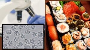 Καμπανάκι κινδύνου για όσους τρώνε sushi και sashimi: Το παράσιτο στο ωμό ψάρι που μπορεί να προκαλέσει ξαφνικό εμετό και διάρροια