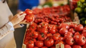 Έως και 9 φυτοφάρμακα σε μία ντομάτα εντόπισε ανάλυση λαχανικών από μεγάλα σουπερμάρκετ – Η εκτίμηση κινδύνου για τα παιδιά