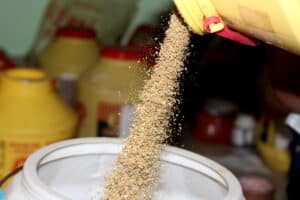 Ζωοτροφές: Η EFSA ανανεώνει την έγκριση πρόσθετου ψευδαργύρου για όλα τα είδη ζώων