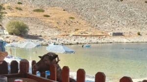 Μια φορά κι έναν καιρό στη Μαραθούντα: Η παραλία "παράδεισος" της Σύμης όπου ο χρόνος έχει σταματήσει