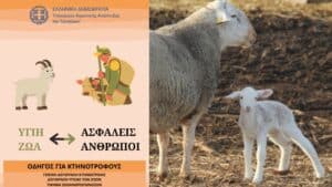 Ελλάδα: Βρουκέλλωση, φυματίωση και πυρετός Q – Οδηγίες προστασίας για κτηνοτρόφους από το ΥΠΑΑΤ