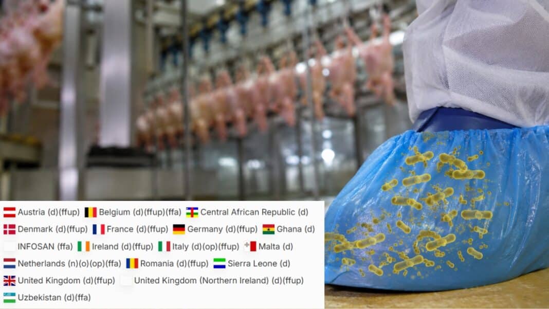 Πάνω από 15 χώρες σε επιφυλακή για Salmonella σε μονάδα κρέατος πουλερικών – Βρέθηκε στα ποδονάρια των εργαζομένων