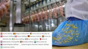 Πάνω από 15 χώρες σε επιφυλακή για Salmonella σε μονάδα κρέατος πουλερικών – Βρέθηκε στα ποδονάρια των εργαζομένων