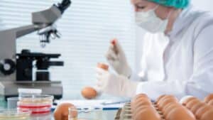 Μολυσμένα αυγά πίσω από 4 επιδημίες σαλμονέλας που συνδέθηκαν με μαγιονέζα, μους και τιραμισού - Εντοπίστηκε κοινή αλυσίδα διανομής