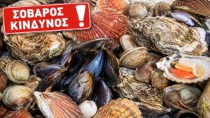 Ελλάδα: Κίνδυνος ναυτίας, μουδιάσματος και παράλυσης από οστρακοειδή με τοξίνες στη Θεσσαλονίκη – Έκλεισαν δύο ζώνες